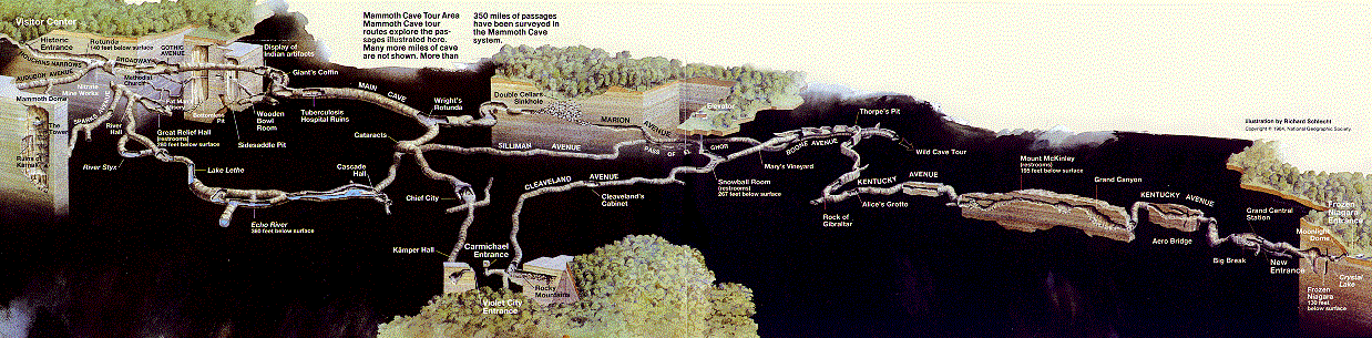 MammothTours.gif (585434 bytes)