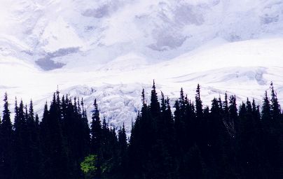 GlacierForest.jpg (18166 bytes)