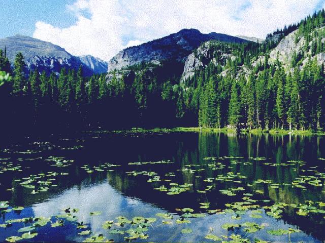 rmnp04.jpg (76188 bytes)