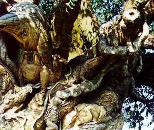 TreeCarvings.jpg (33402 bytes)