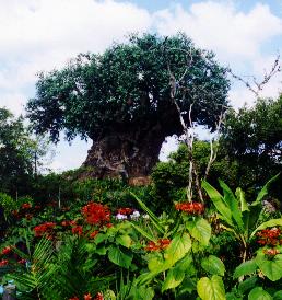 tree1.jpg (24102 bytes)