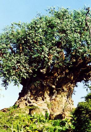 tree2.jpg (53529 bytes)