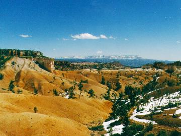 Bryce10.jpg (22764 bytes)