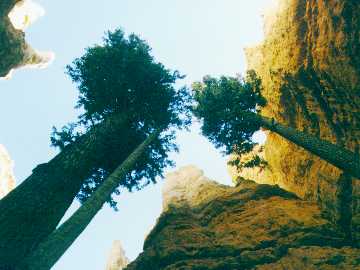 Bryce2.jpg (15060 bytes)