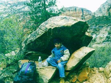 Zion8.jpg (31810 bytes)