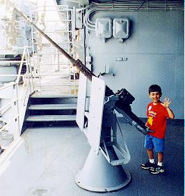 Intrepid-guns.jpg (19892 bytes)