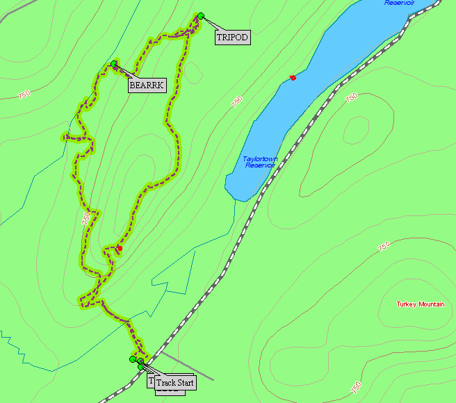 BearHike.gif (24078 bytes)