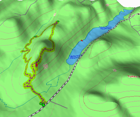 BearHike3D.gif (68221 bytes)