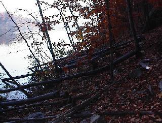 991030-028.jpg (26703 bytes)