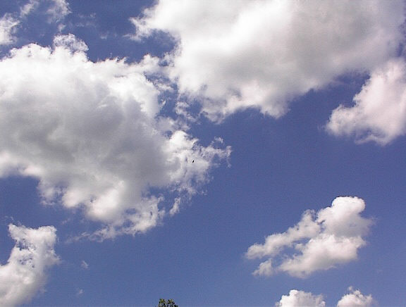 000604-008.jpg (38625 bytes)