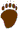 beartrail.gif (998 bytes)